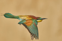 Camp Militaire de la Valbonne